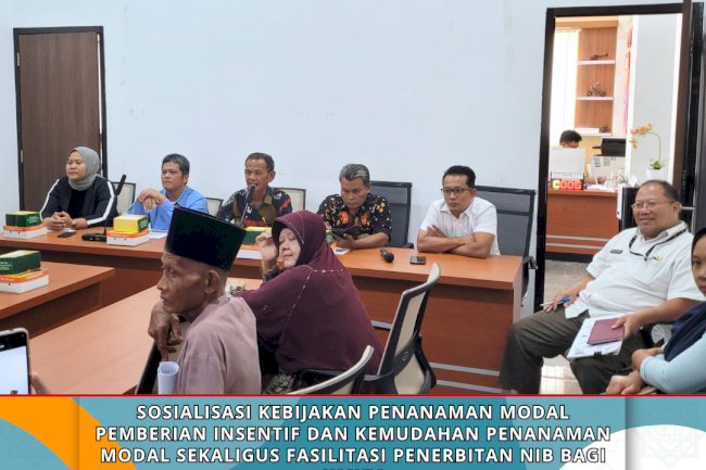 Sosialisasi Kebijakan Penanaman Modal Pemberian Insentif dan Kemudahan Penanaman Modal Sekaligus Fasilitasi Penerbitan NIB Bagi UMKM 