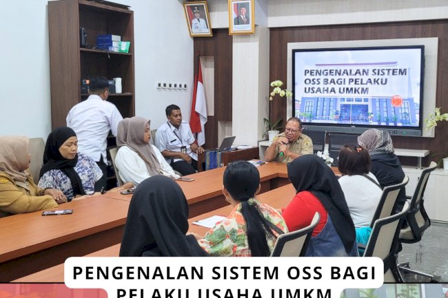 Pengenalan Sistem OSS Bagi Pelaku Usaha UMKM